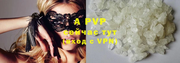 крисы Надым
