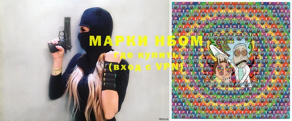 крисы Надым