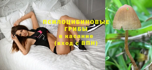 Альфа ПВП Абдулино